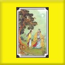 Chinese Tarot Golden Dragon