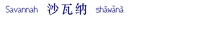 name image